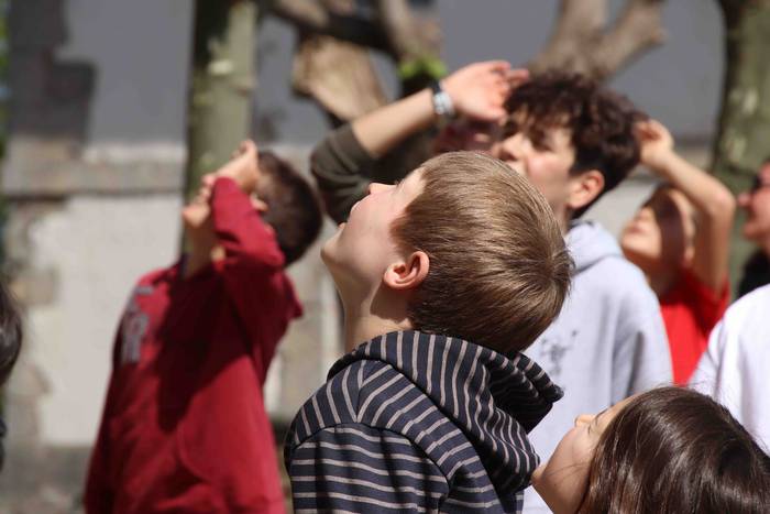 Asteasu Elizmendi Santa Krut 14 1651344642592