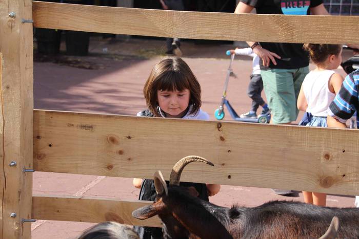 Euskaldunak asetzeko festa 46 1570976336858