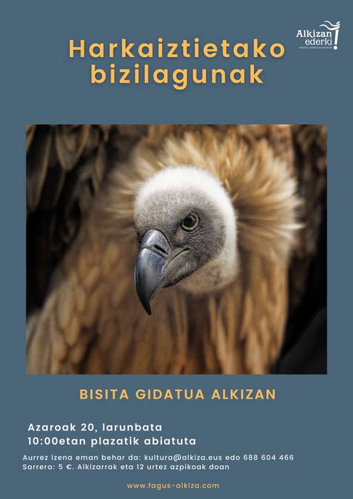 Bisita gidatua