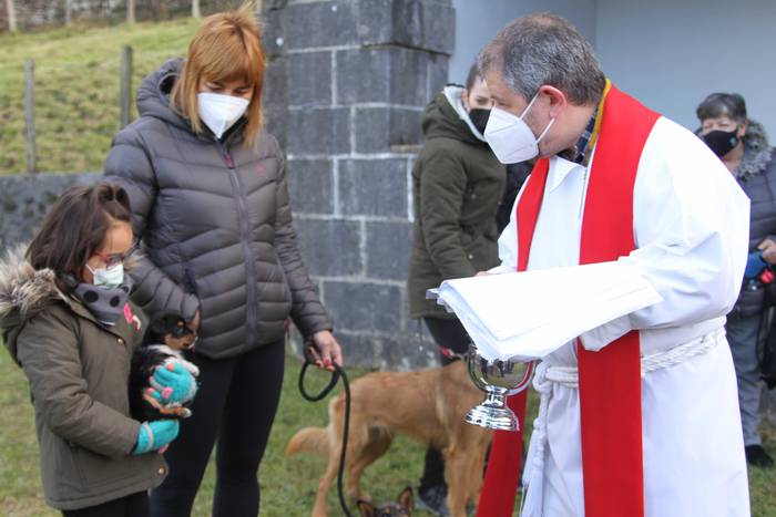 Animaliak bedeinkatu dituzte 6 1642416855645