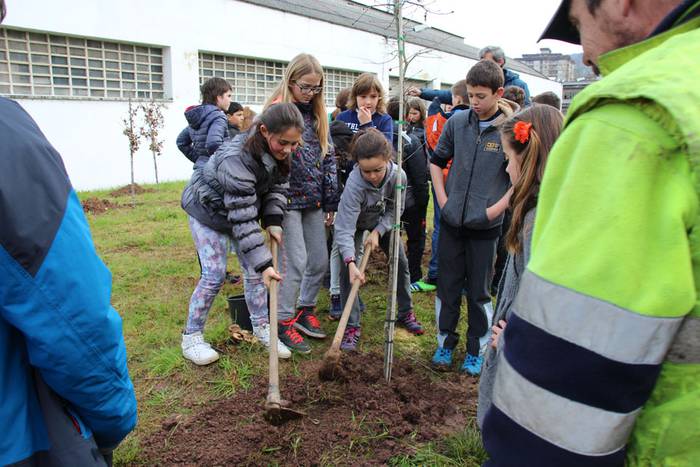 zuhaitz landatzea 2016 tolosa 5 1456503823502