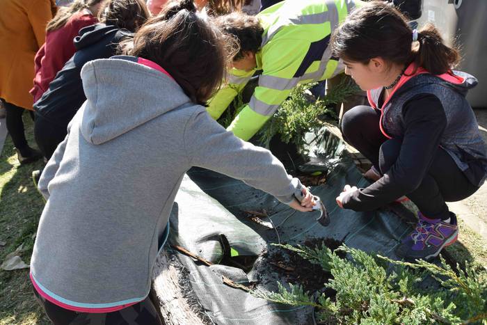 Zuhaitz Eguna ospatzen ari d 19 1553854268564