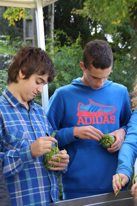 Piperraren zikloa 2015 28 1445442221501