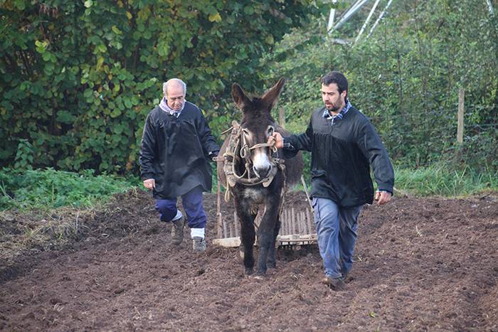 ADUNAKO KULTUR ASTEA 2017. G 9 1511017897233