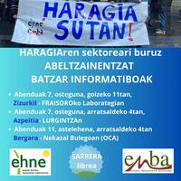 Batzar informatiboa