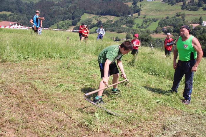 Erabaki dira Euskal Herriko  79 1532871145267