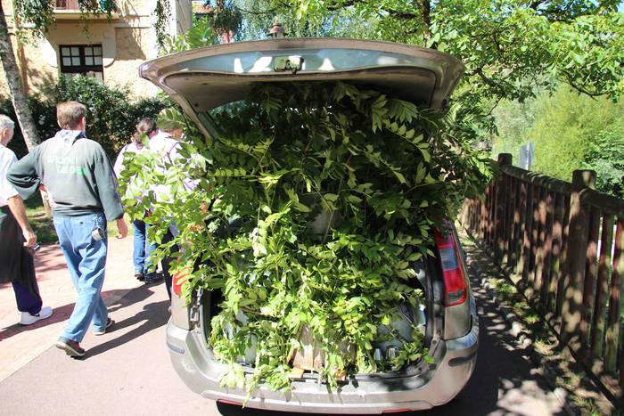 Ibarra San Bartolome jaiak 2 58 1535372479251