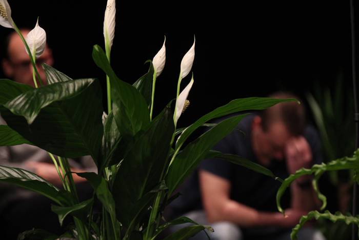 ATARIA BERTSO JAIALDIA 2017 19 1485027239186