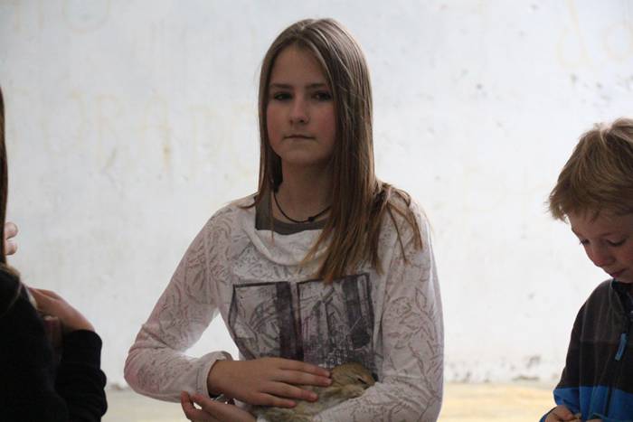 V. Udaberriko merkatua berrobin 13 1463915452250