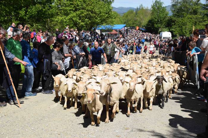 Larrerati dituzte abereak Ar 58 1556716329801