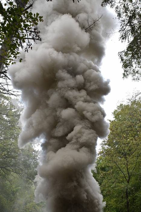 Elduain, Goikoetxe karobia p 67 1506772750224