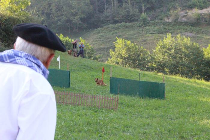 Artzaina eta txakurraren artea Amezketan 28 1472322482027