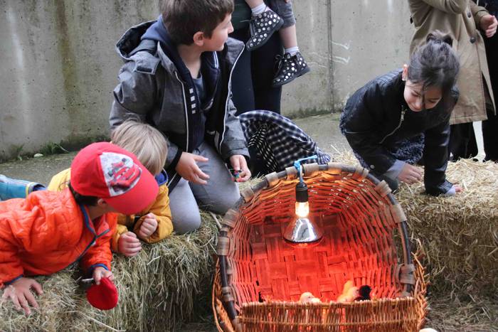 VIII. Udaberriko Azokaz goza 40 1558278844925