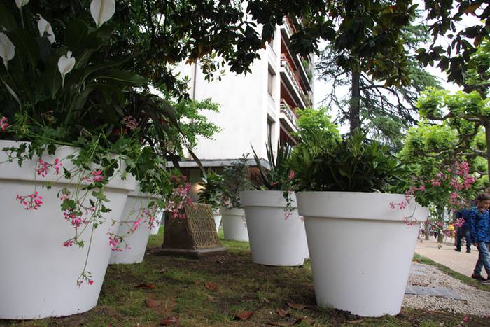 Eta liliek Tolosa ere amets 10 1495290241373