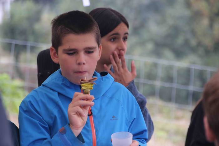 Ibarrako piparraren ibilbide 70 1664026270945