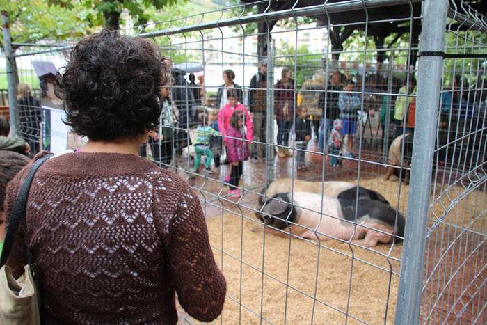 Ibarra, azoka eta piparra 63 1474219092488