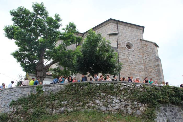 Zaldi gainean lasterka Abalt 2 1498413031014