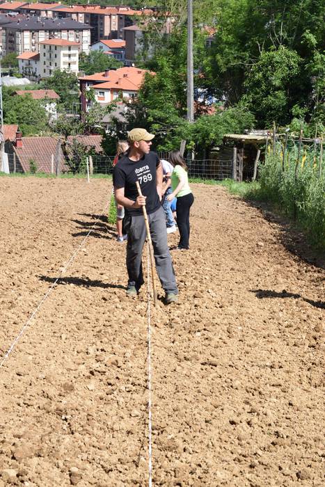 Piper landaketa Ibarran, 201 27 1494844421959