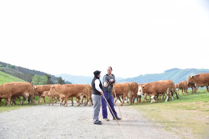 Guztia prest Gipuzkoako larreen irekiera ekitaldirako