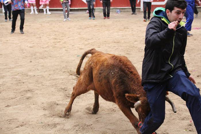 Ikuskizun polita, lehen zeze 4 1487873468735