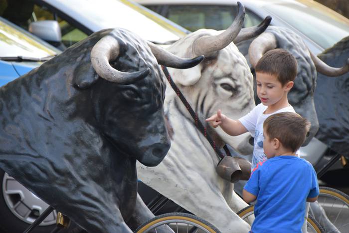 Berazubiko festak 2017, zeze 4 1507822709572