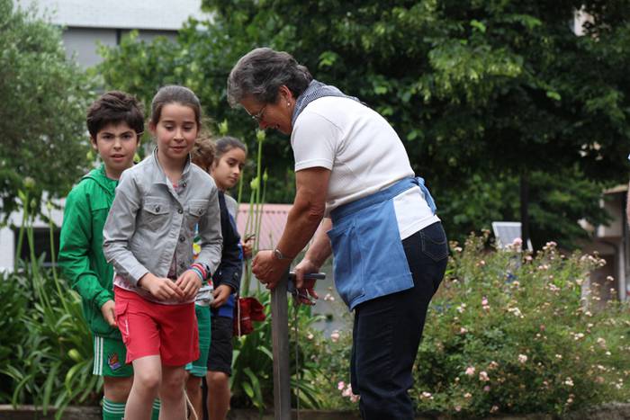 Aurtengoa, biolinak gozatua 31 1497265124923