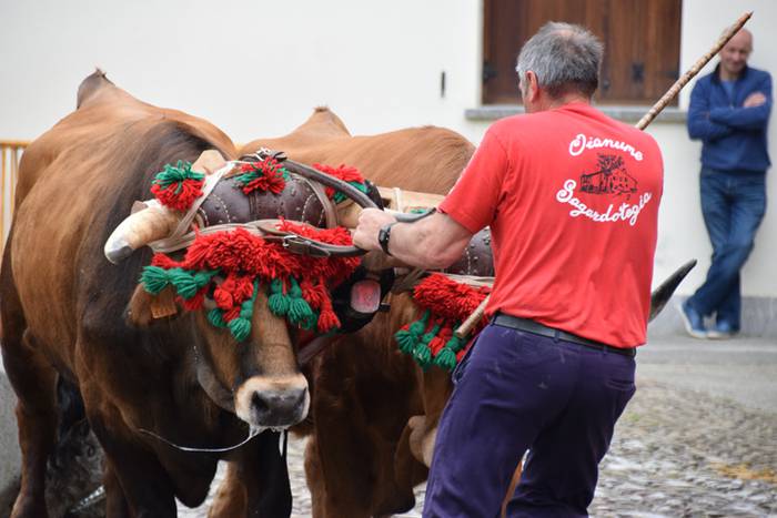 San Isidro eskualdean zehar 6 1463322518131