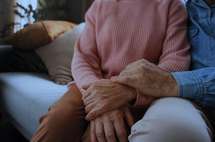 Zaintza sistemaren diagnostikoa aurkeztuko dute