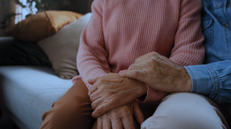 Zaintza sistemaren diagnostikoa aurkeztuko dute