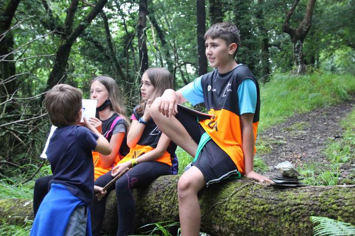 Lizartza, Axurdario, diberts 50 1624104194012