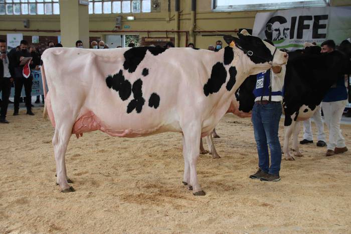 XII. Euskal Herriko Frisoi T 25 1637418674326