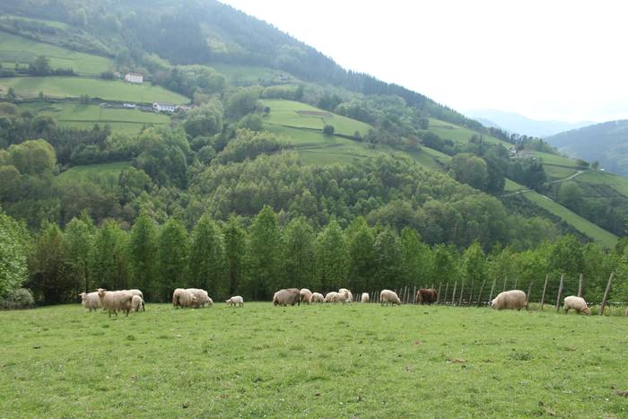 Lurra, bizitzaren sostengu