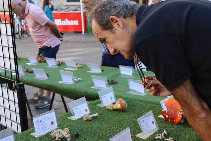 Perretxikoen plaza 17 1666439567410