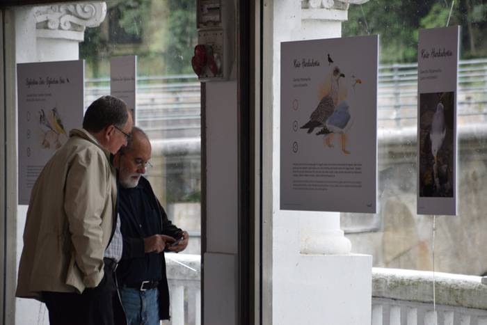 Oria ibaiko hegaztien gida 5 1496757649124