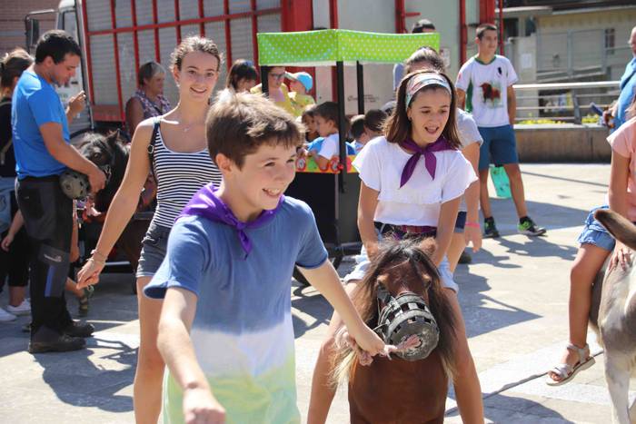 Festak hasteko, poniak eta z 26 1566993983986