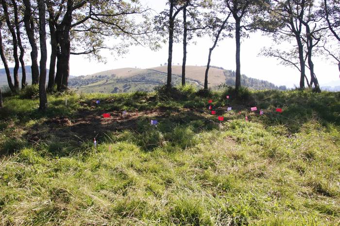 Saseta Defentsa Sistema auzo 12 1658491981538