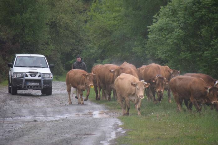 Larre irekiera Berastegi 202 26 1621072184422