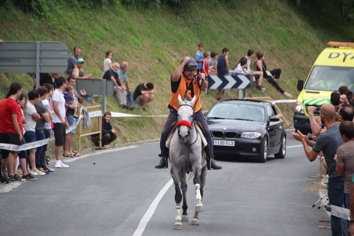 Zaldi gainean lasterka Abalt 33 1498413210613