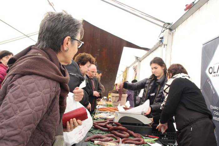 Tolosak Babarruna 14 1448111667083