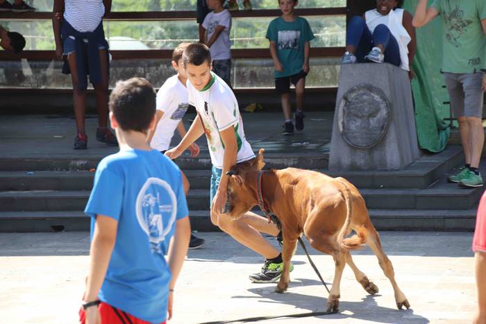 Festak hasteko, poniak eta z 57 1566994018975