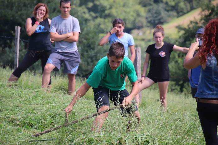 Erabaki dira Euskal Herriko  41 1532870321186