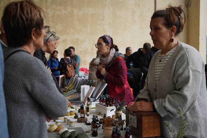 Txerri hiltzearen bueltan eg 16 1760883709141