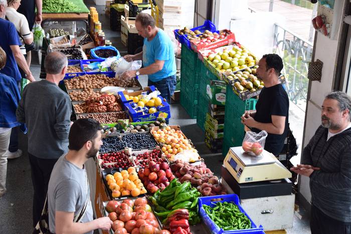 Lore eta Landare azoka Tolos 25 1652529029622