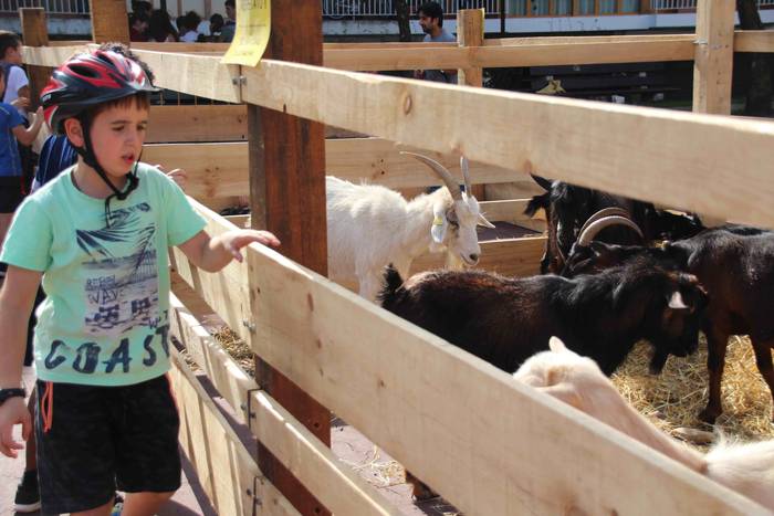 Euskaldunak asetzeko festa 45 1570976336263