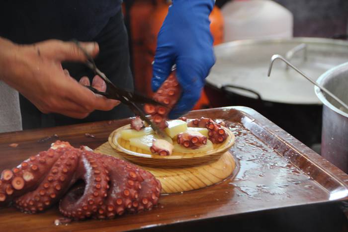 Kostaldea Tolosara ekarrita 26 1496494213705