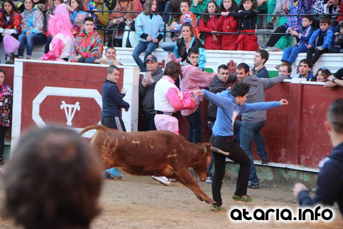 ostegun gizena 2016 zezen plaza 109 1454608296086