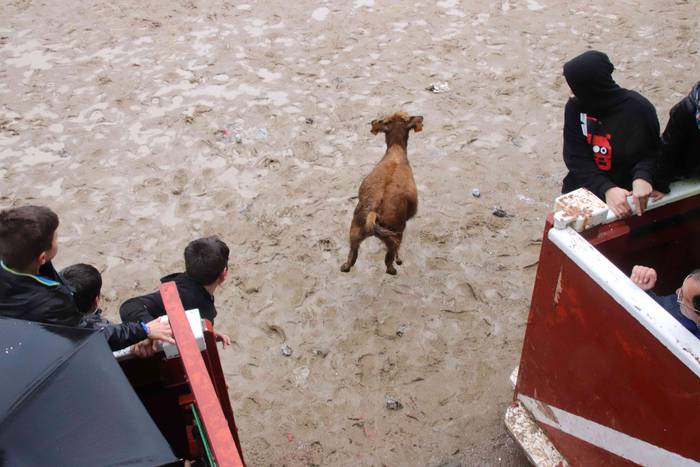 Txikienak zezen txikien aurr 33 1552240893109