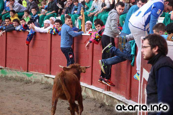 ostegun gizena 2016 zezen plaza 95 1454608290981