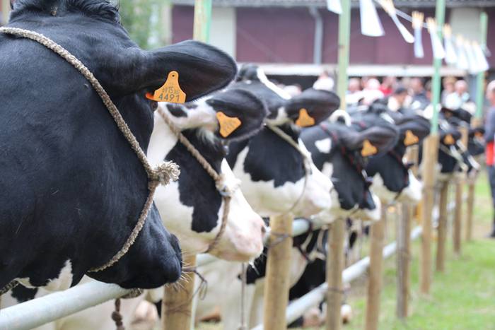 Hutsik egiten ez duen azoka berezia 34 1474813336582