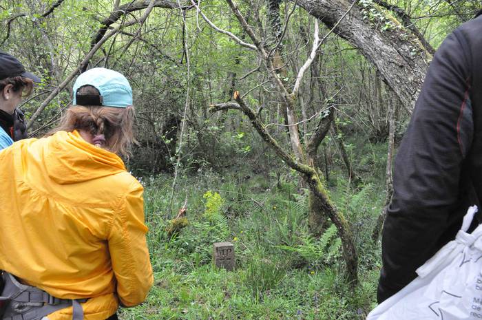 Zizurkilgo mugarriak Hernand 15 1620026993202